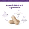 Healthy Box Probiotics 3pk