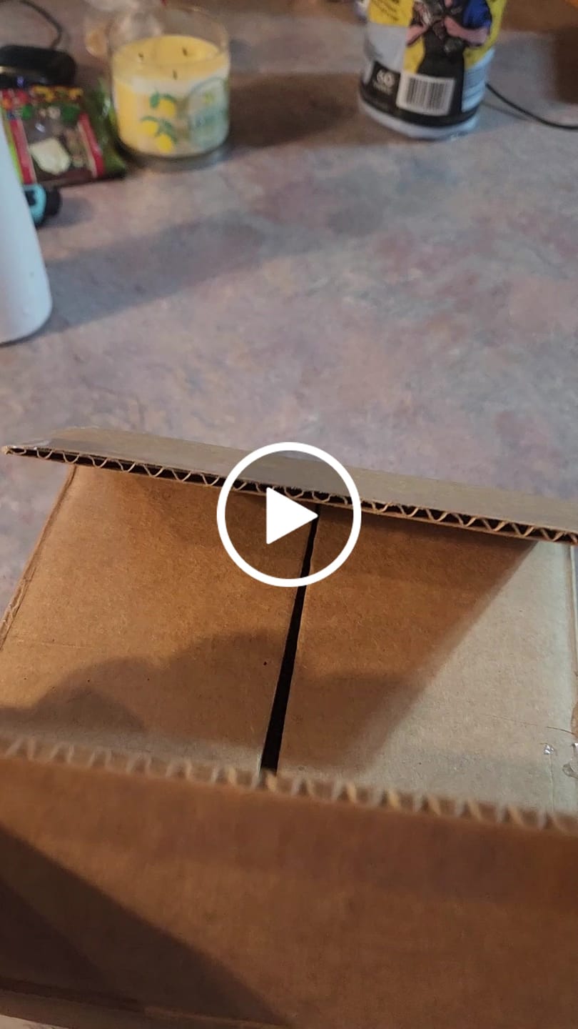 Customer photo review of Her Fantasy Two Pack Wash
